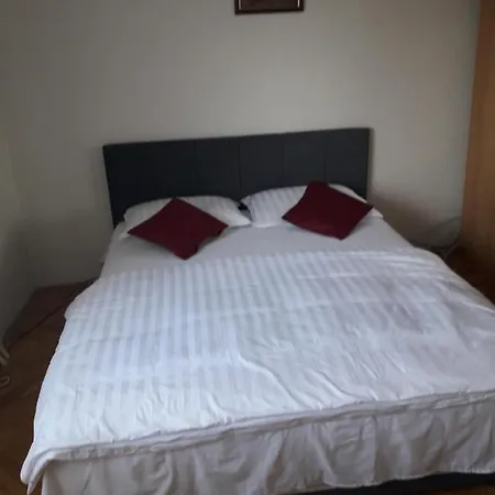 Villa Vila Bistrik *
