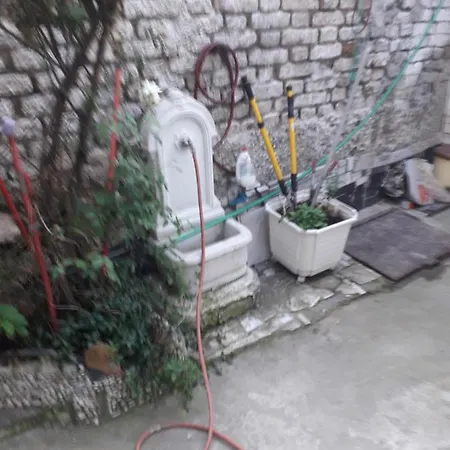 Vila Bistrik Villa *